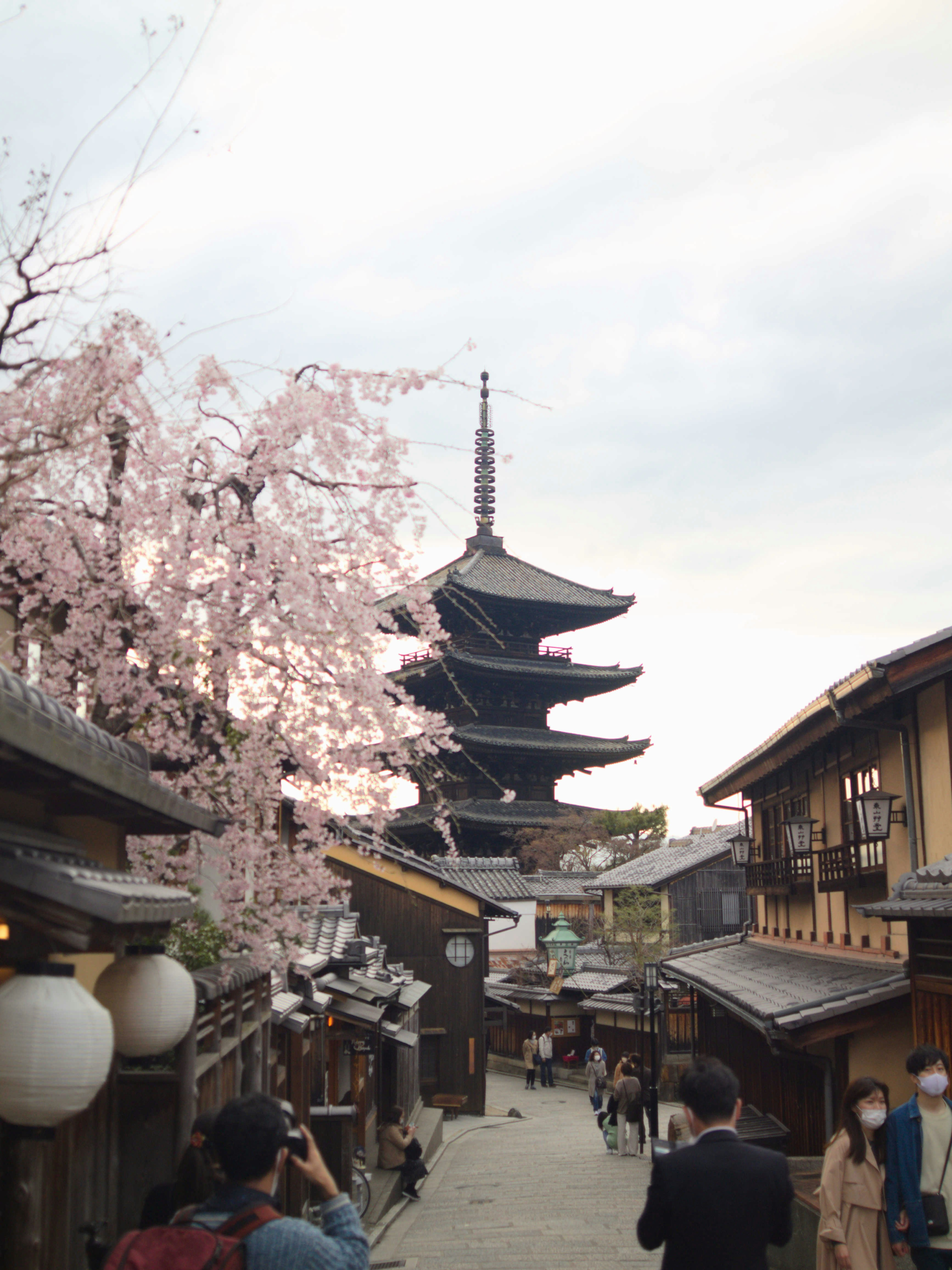 <br />
itineraire-hanami-parc-kyoto-paris-sakura-rue-gravililiers-hanami-teatime-marais-paris-3