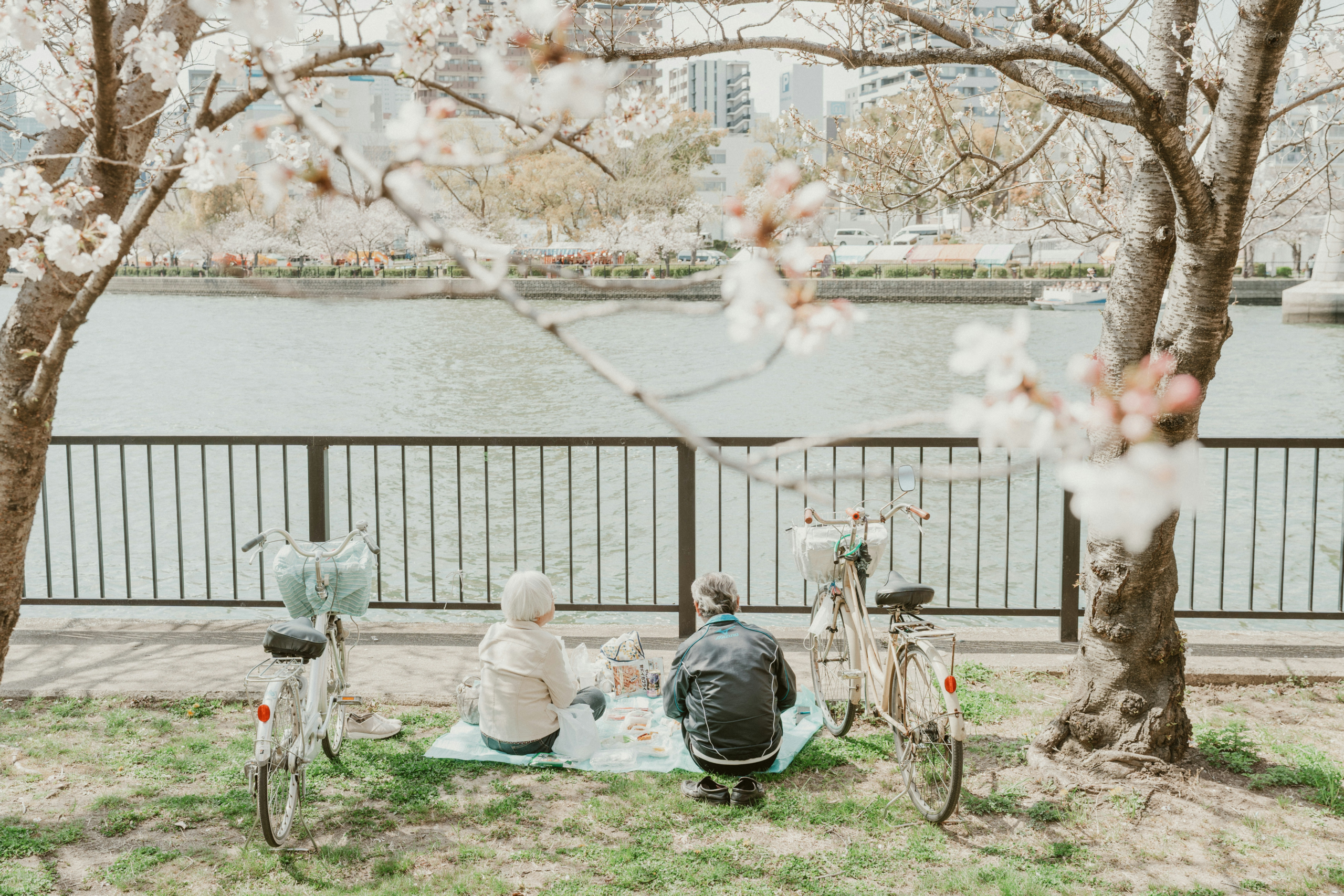 japon-sakura-hanami-pique-nique-japonais-hanami-teatime-marais-paris-3